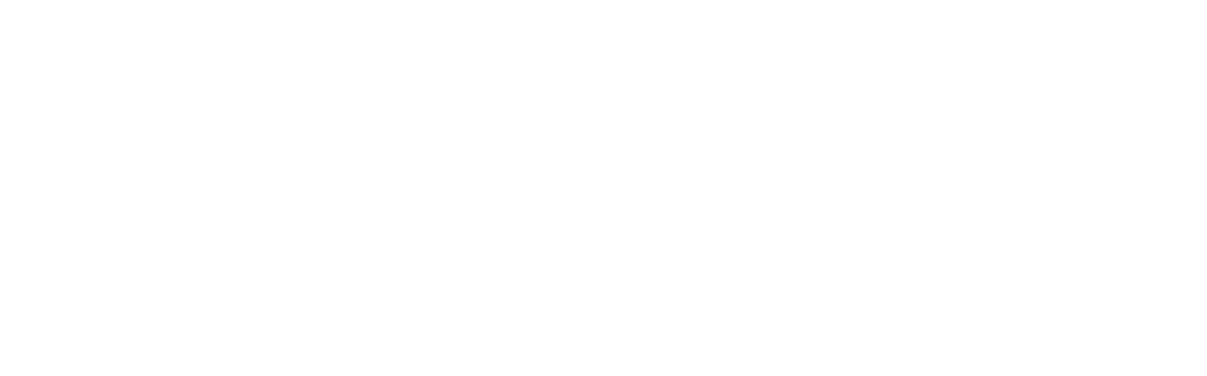 Posnic billing software logo